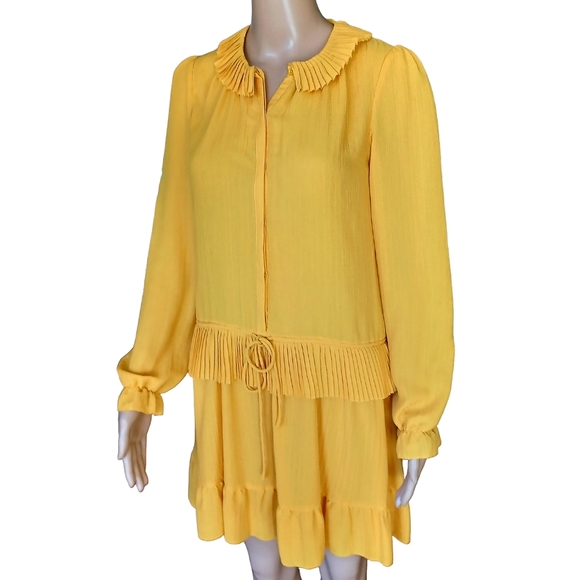 Athe Vanessa Bruno Womens Fringed Yellow Aline Dress Dropped Waist Size 34 - Picture 2 of 8